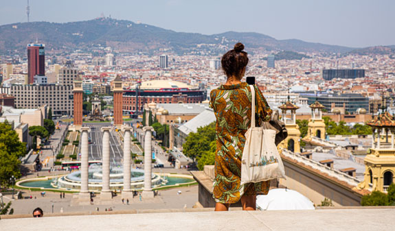 viewpoint of the National Museum of Art o