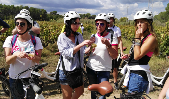 group on wine tourism route by bicycle through Penedés