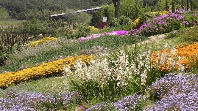 Jardí Botànic de Barcelona