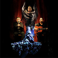 Flamenco Casa Sors