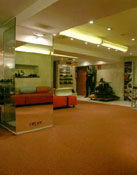 Casas International Casas International