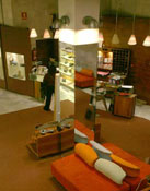 Casas International Casas International