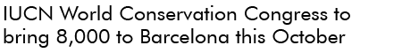 Barcelona: fourth best for business